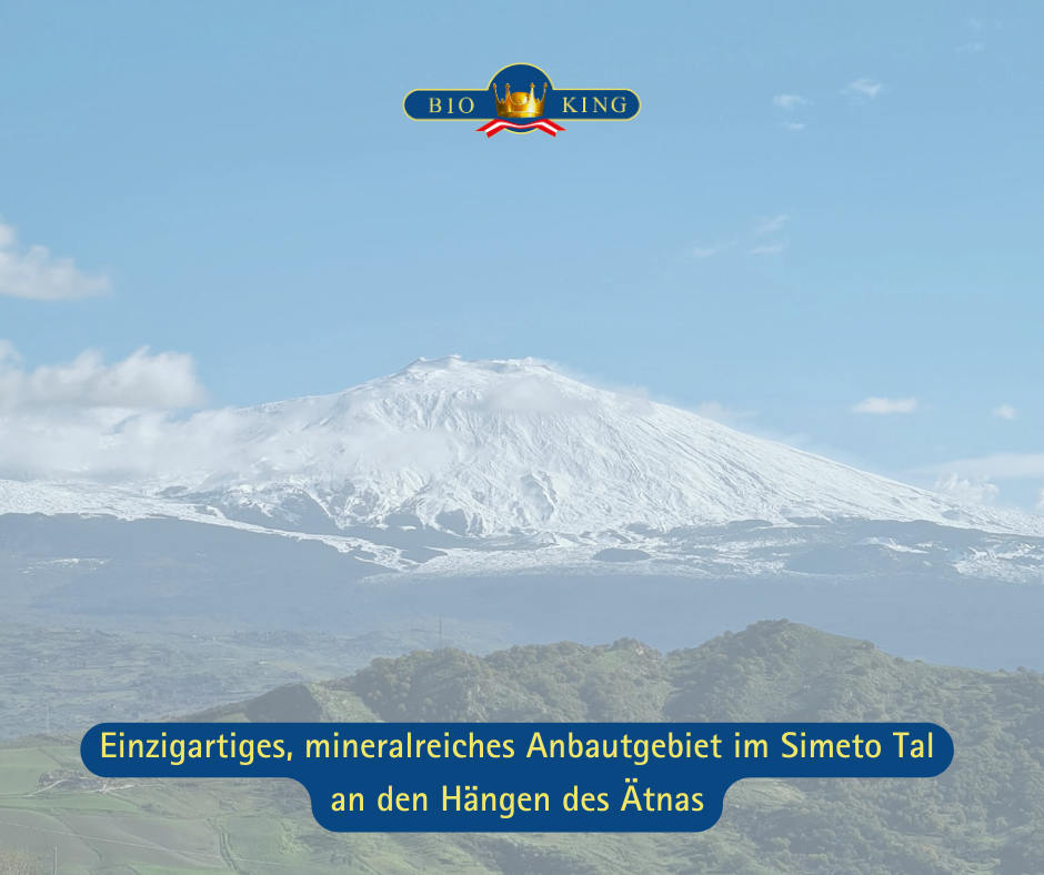 Bio Olivenöl aus Sizilien