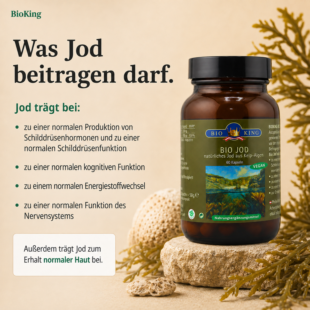 Jod trägt zu normaler Schilddrüsenfunktion und Energiestoffwechsel bei