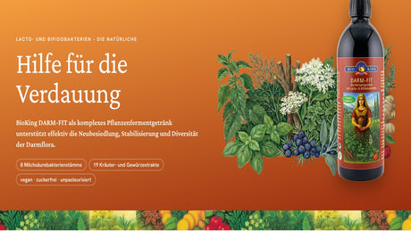 Darm-Fit – Lacto- und Bifidobakterien