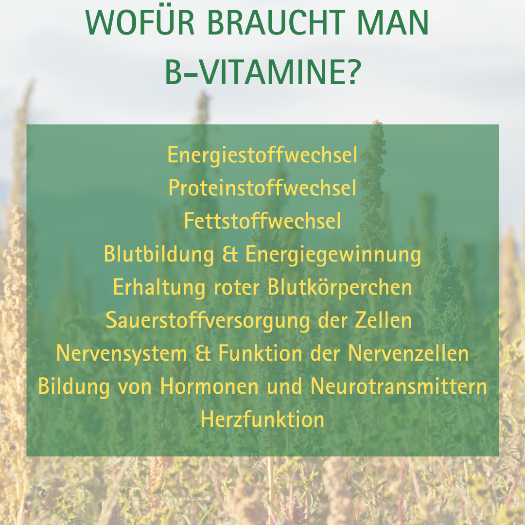 natürlicher Vitamin B-Komplex, 60 Kapseln