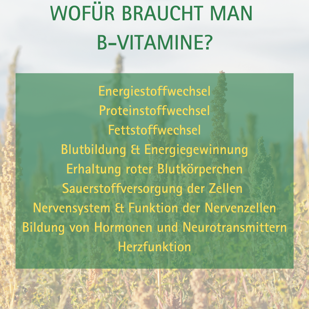 Natürlicher Vitamin B-Komplex, 60 Kapseln