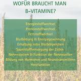 Natürlicher Vitamin B-Komplex, 60 Kapseln