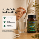 Bio Jod Kapsel wird mit einem Glas Wasser eingenommen