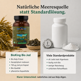 Vergleich BioKing Bio Jod aus Kelp-Algen mit herkömmlichem Jodid-Präparat