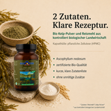 Zutaten von Bio Jod: Bio Kelp-Pulver und Bio Reismehl