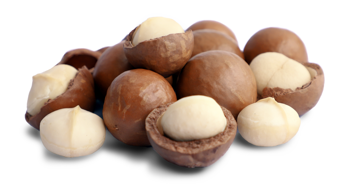 Bio Macadamia, geröstet und gesalzen