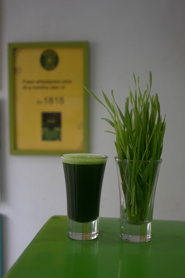 Bio Algen Alfa Mix