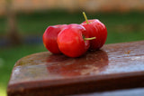 Bio Acerola, Fruchtpulver