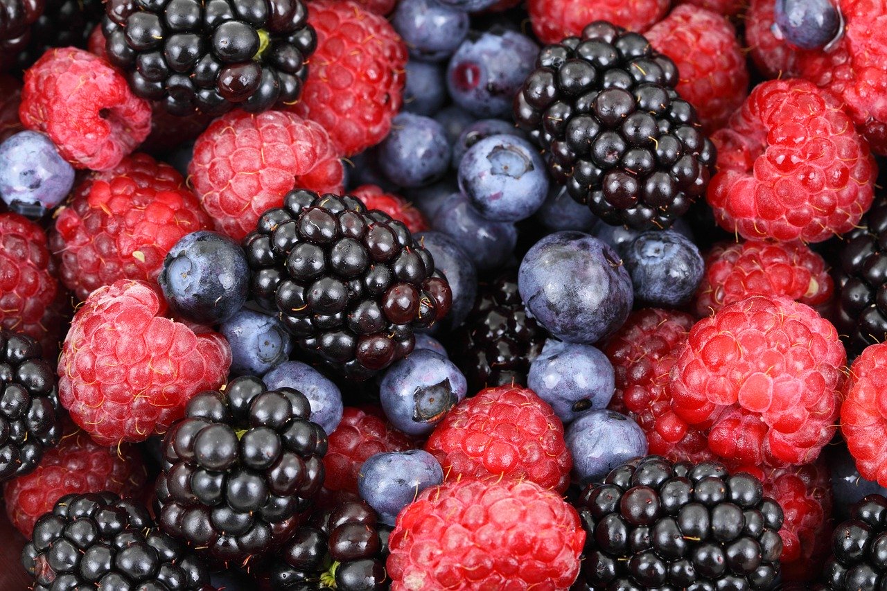 Bio FRÜCHTEMÜSLI mit Beeren