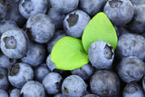 Bio Heidelbeeren, gefriergetrocknet