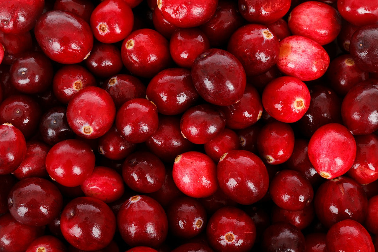Bio APRIKOSENKONFEKT mit Cranberrys