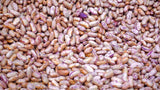 Bio Wachtelbohnen, Pintobohnen