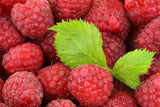Bio Crunchy Himbeer